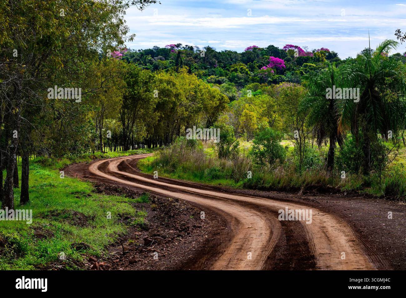 Atmosphere In Recce ,During. Fia World Rally Championship WRC ueno ...