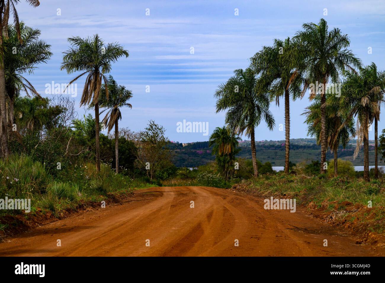 Atmosphere In Recce ,During. Fia World Rally Championship WRC ueno ...