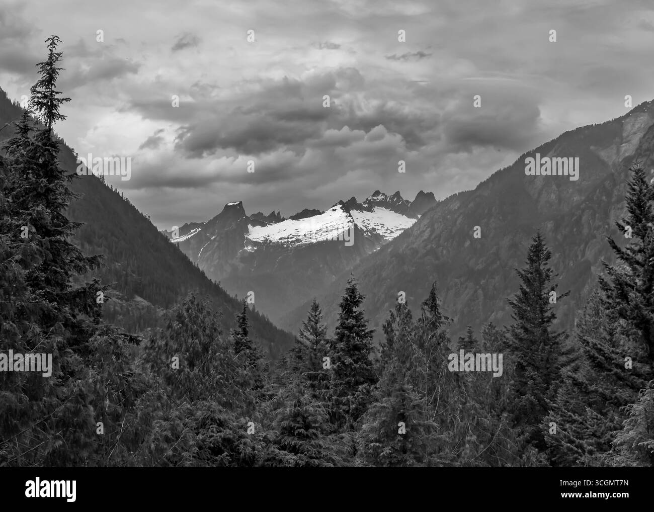 Picket Range (inc. Mt. Terror, Inspiration Peak), Sterling Munro Boardwalk, North Cascades National Park Complex, Washington. Stock Photo