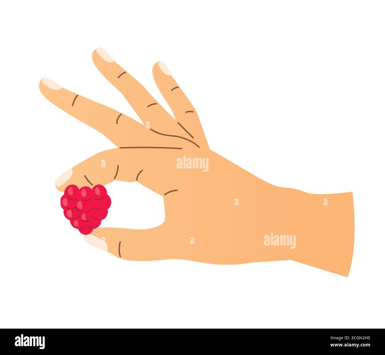 hand holding raspberry fruit- vector illustration Stock Vector