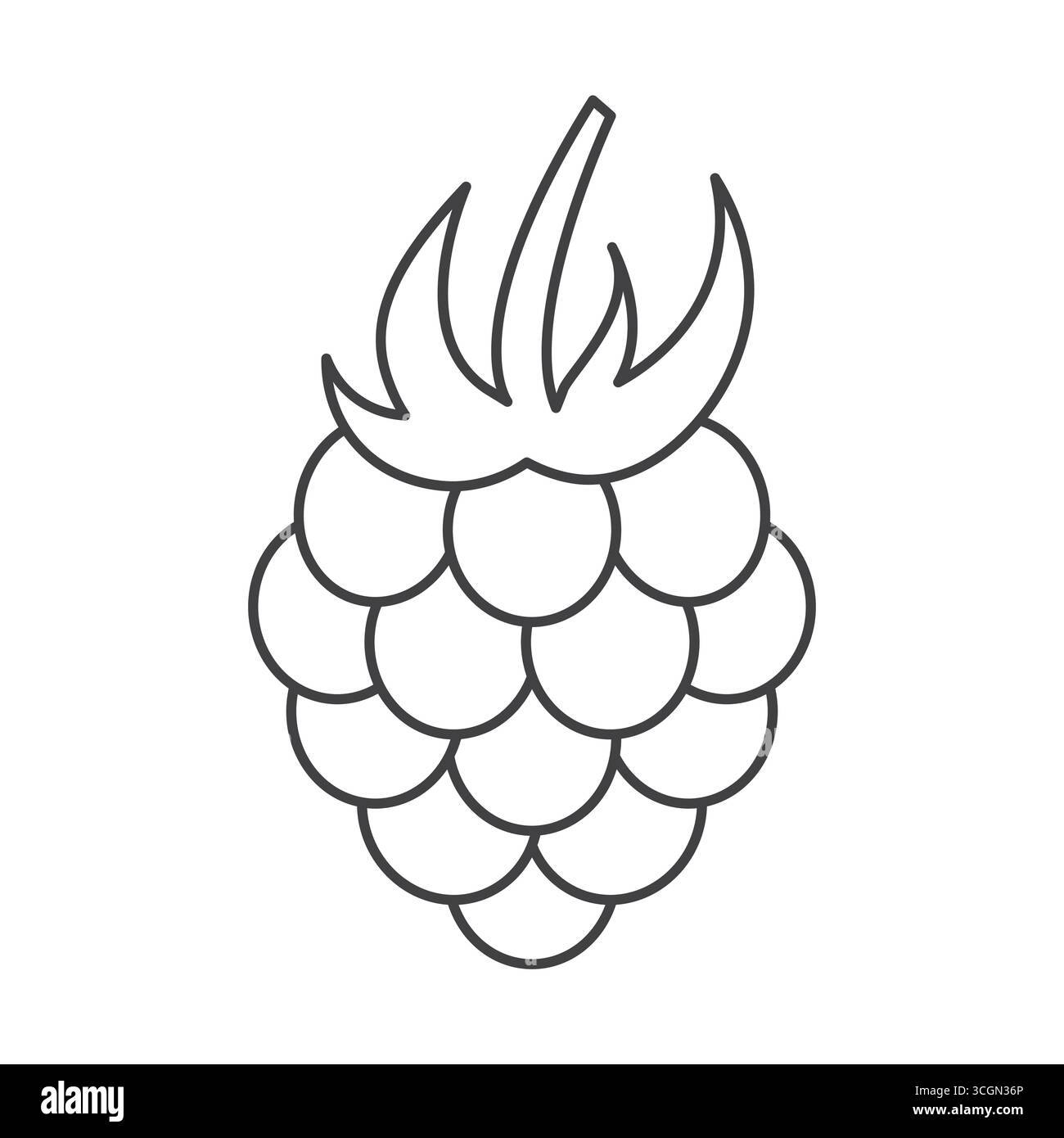 raspberry outline icon - vector illustration Stock Vector
