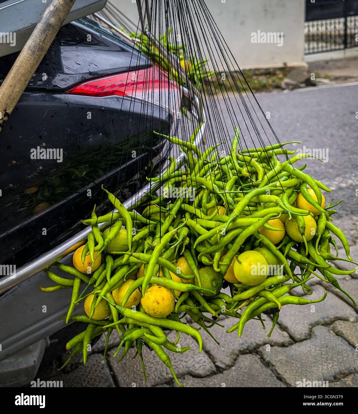 Green chilies and lemons hanging from a vehicle's rear, tied with ...