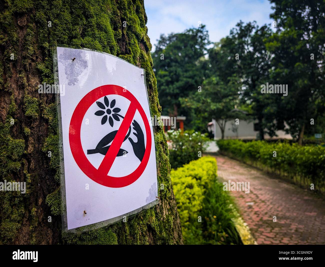 A sign on a tree prohibiting picking flowers in a park setting. Stock Photo
