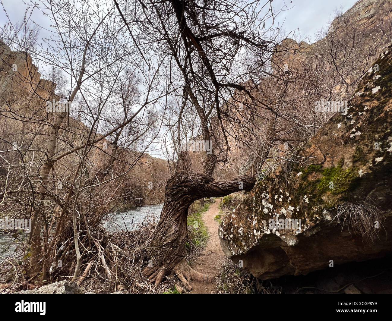a flowing river near a soil path through the valley in a cloudy day Stock Photo
