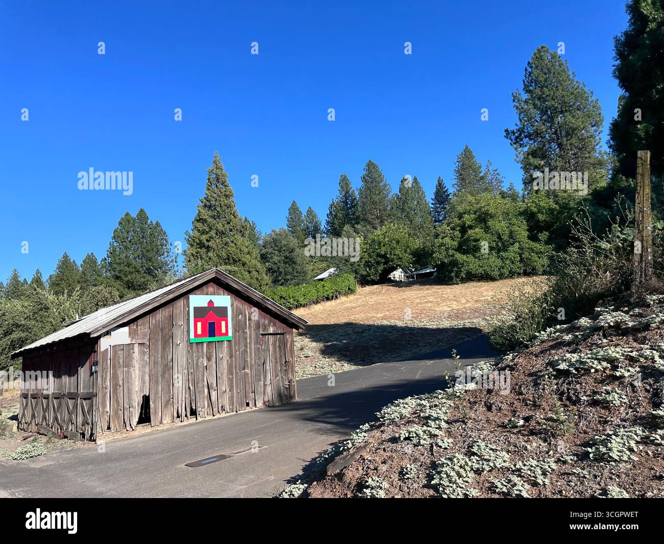 A rustic old wooden shed with a painted barn-style sign on the front, set on a rural hillside with pine trees and clear blue sky. - Smartphone Captured Stock Image