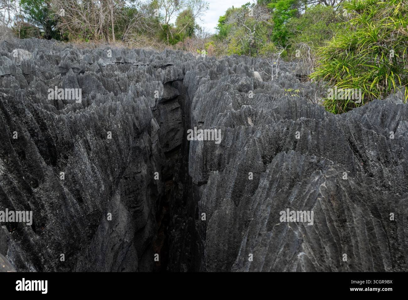 Paisaje de los Tsingy de Madagascar Stock Photo