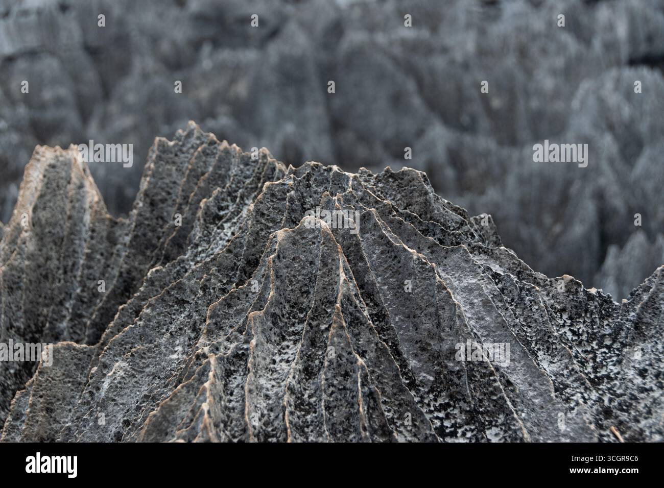 Paisaje de los Tsingy de Madagascar Stock Photo