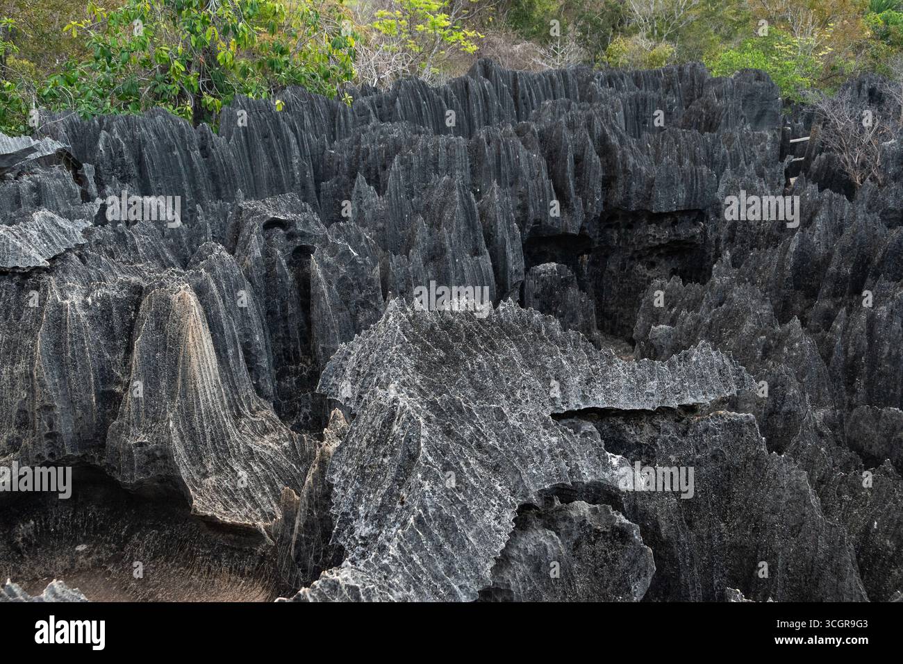 Paisaje de los Tsingy de Madagascar Stock Photo