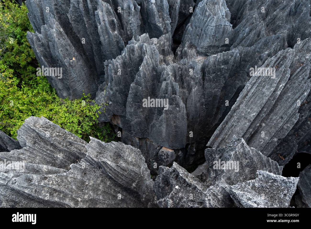 Paisaje de los Tsingy de Madagascar Stock Photo