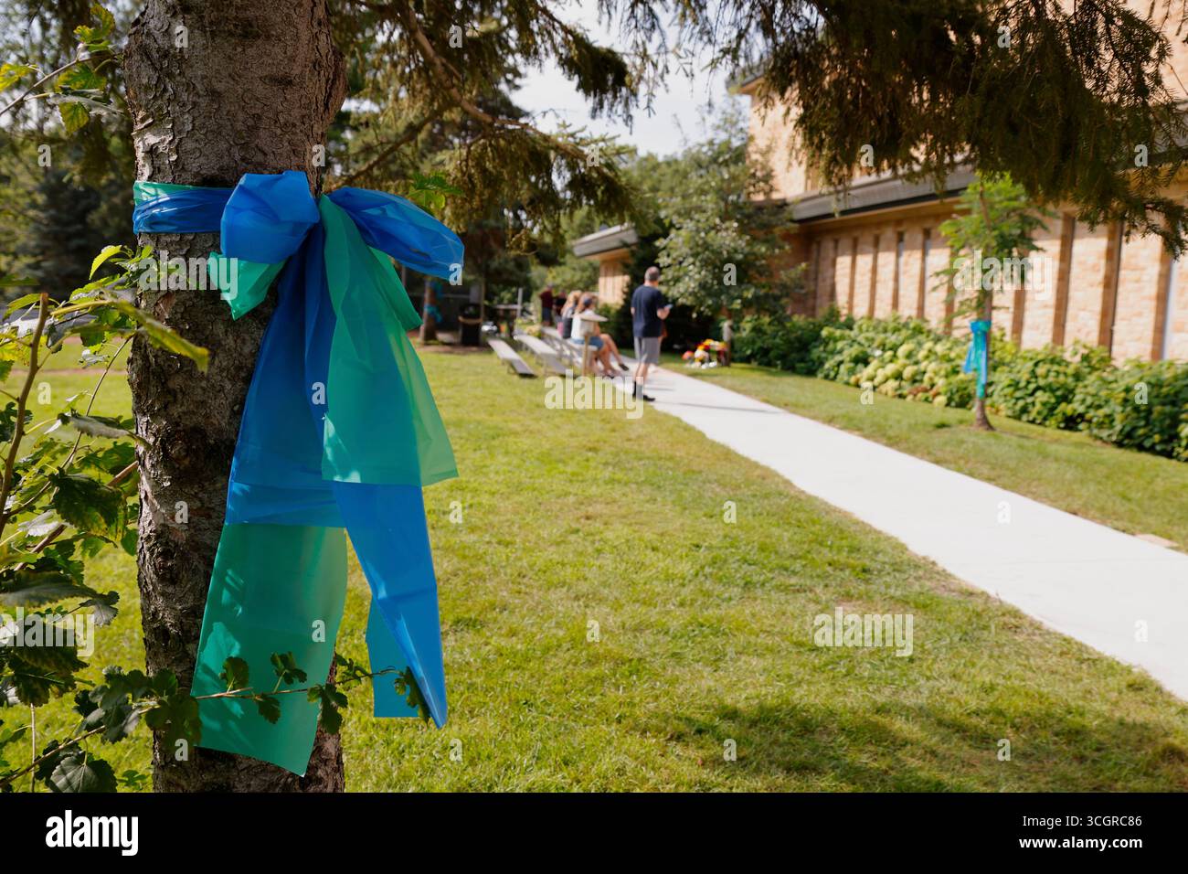 A ribbon is tied on a tree as people visit a make-shift memorial at ...