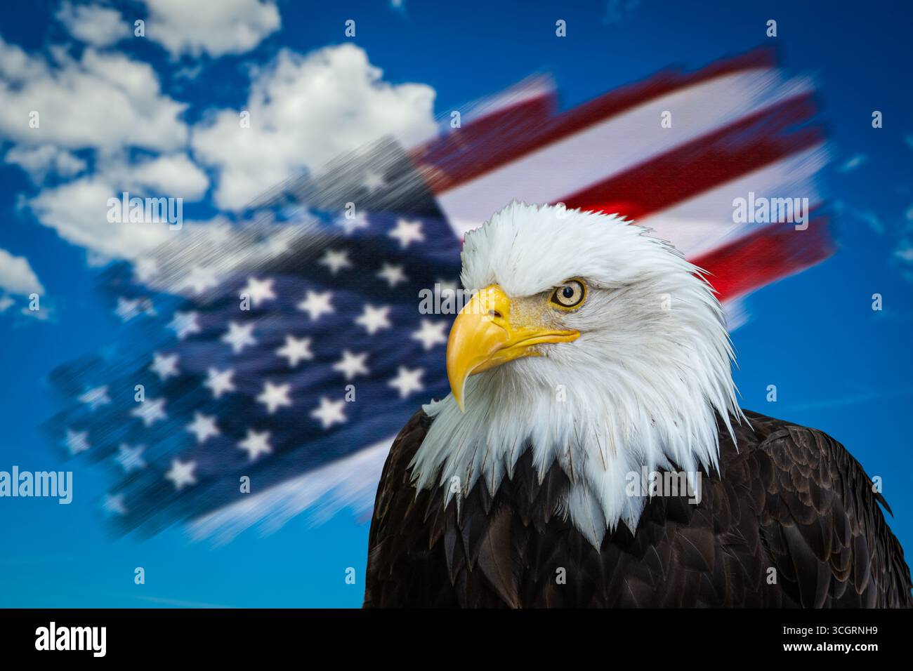 America flag eagle hi-res stock photography and images - Alamy, image size:1300x956