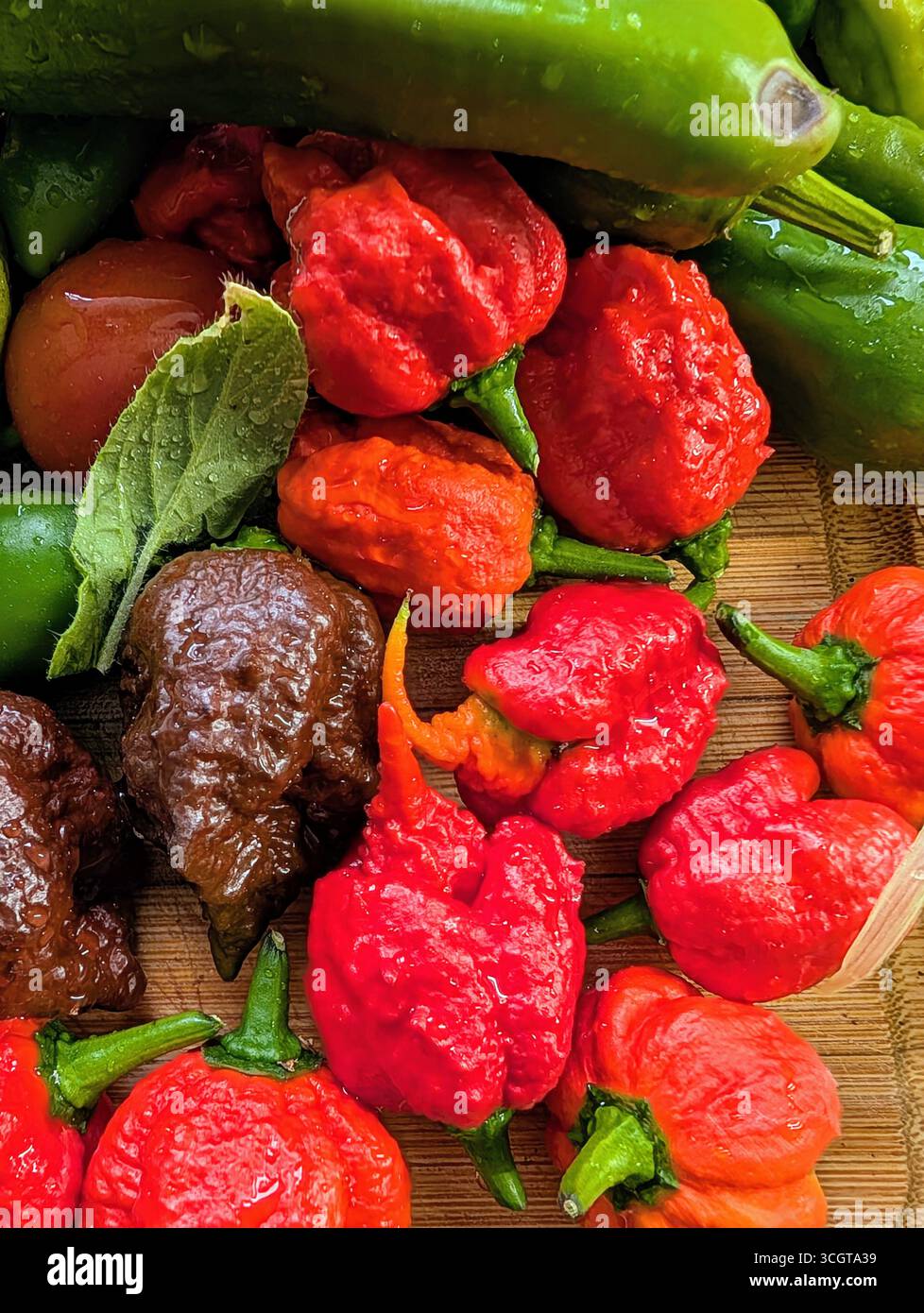 super hot peppers including the carolina reaper mexican themed cooking photo - Smartphone Captured Stock Image