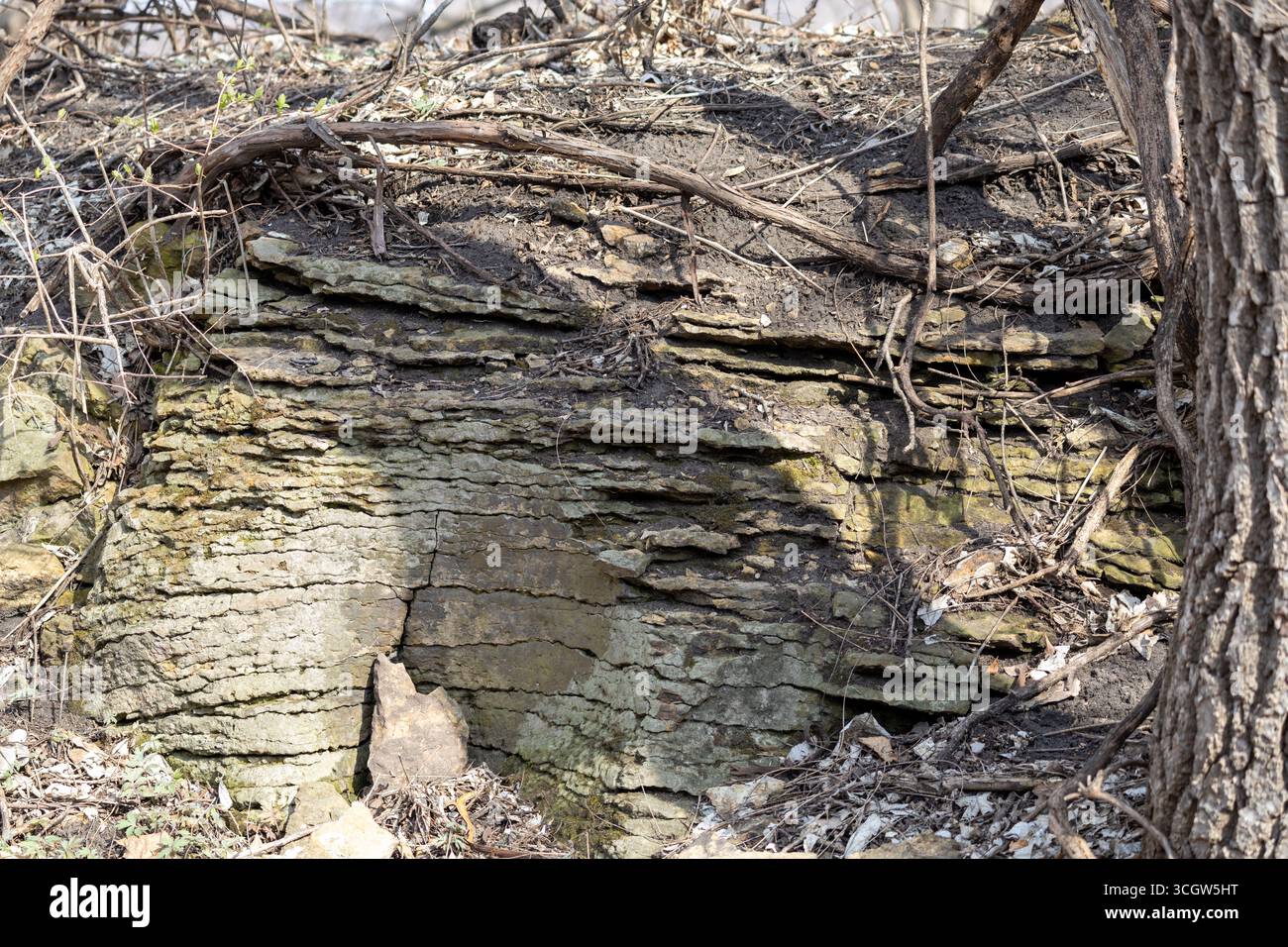 Landscape view of exposed layered natural limestone rock deposits in a ...