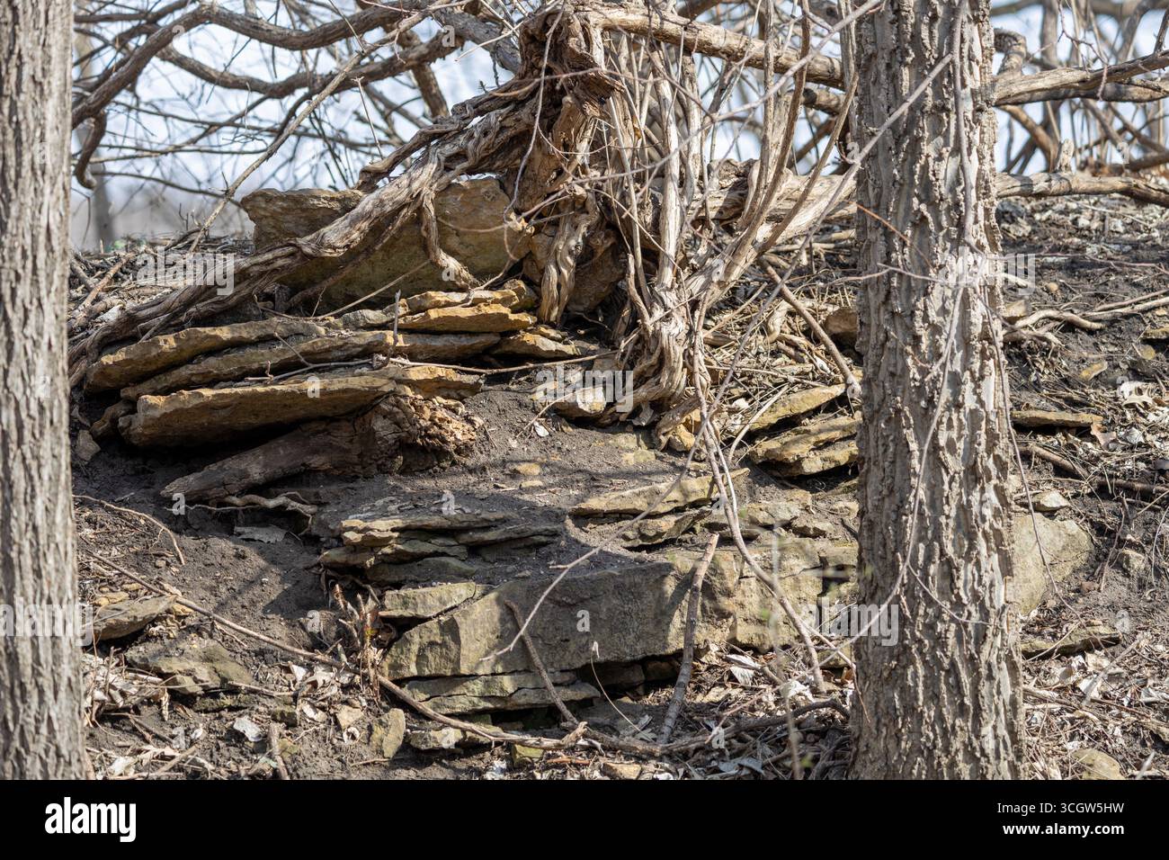 Landscape view of exposed layered natural limestone rock deposits in a ...