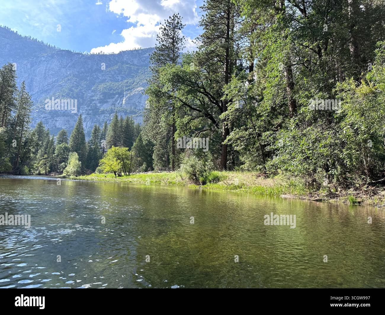 Scenic landscape of a calm river surrounded by pine forest and mountains under a bright blue sky with clouds. - Smartphone Captured Stock Image