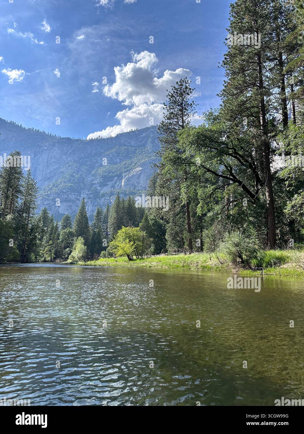Scenic landscape of a calm river surrounded by pine forest and mountains under a bright blue sky with clouds. - Smartphone Captured Stock Image