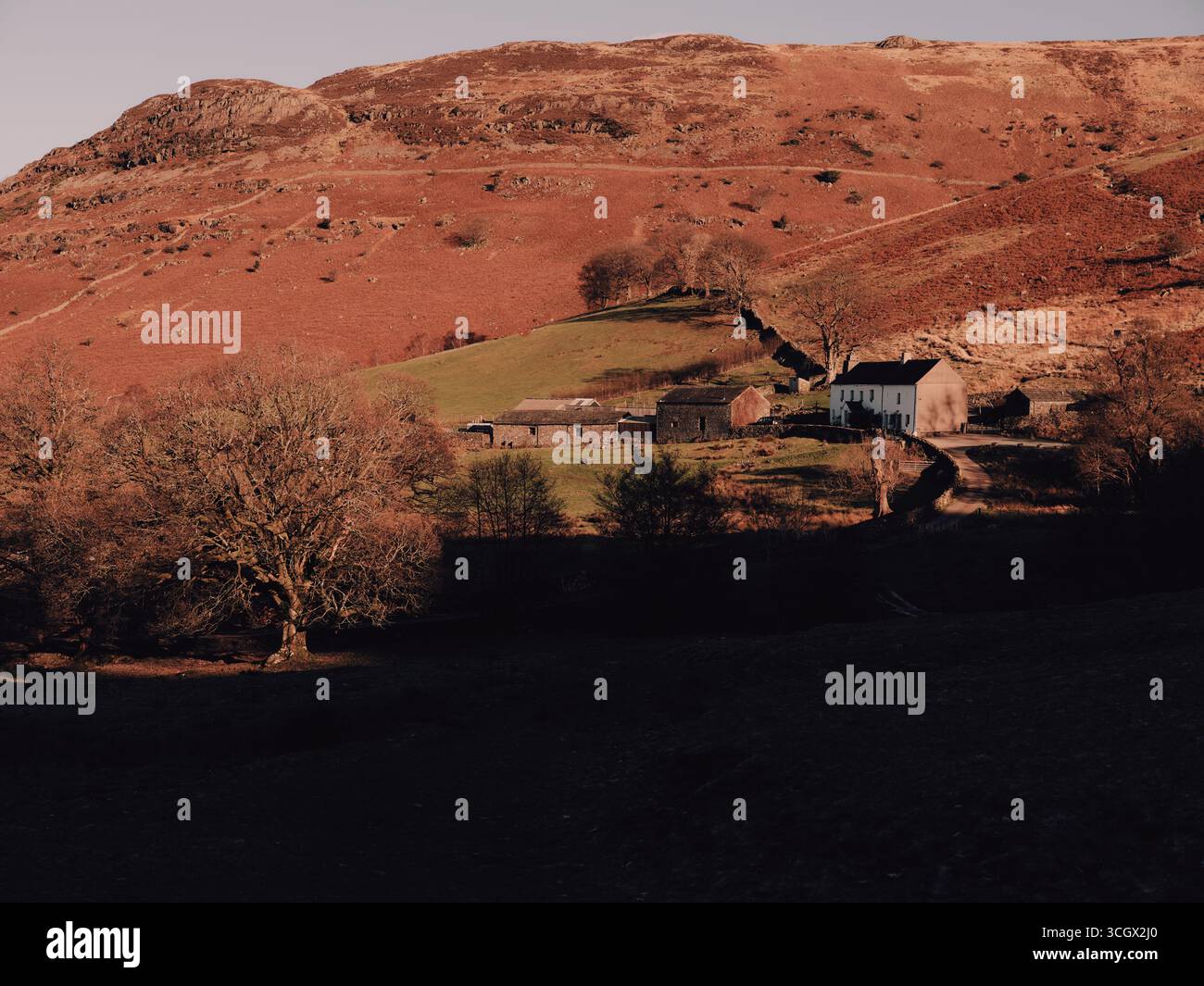 A lone white farmhouse in the autumn fell landscape of the Lake District National Park, Cumbria England UK Stock Photo