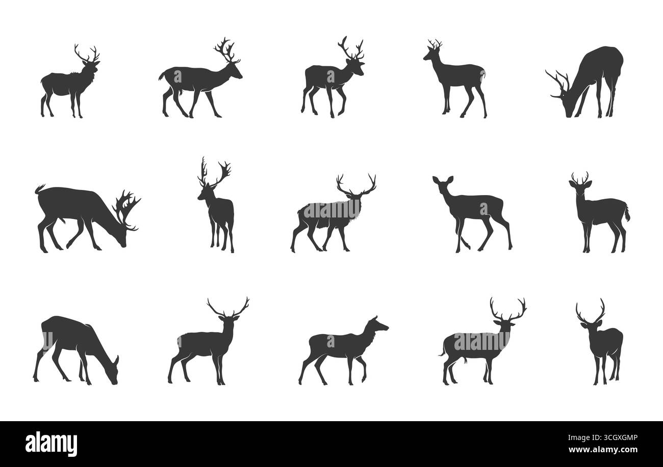 Deer clipart hi-res stock photography and images - Alamy, image size:1300x917