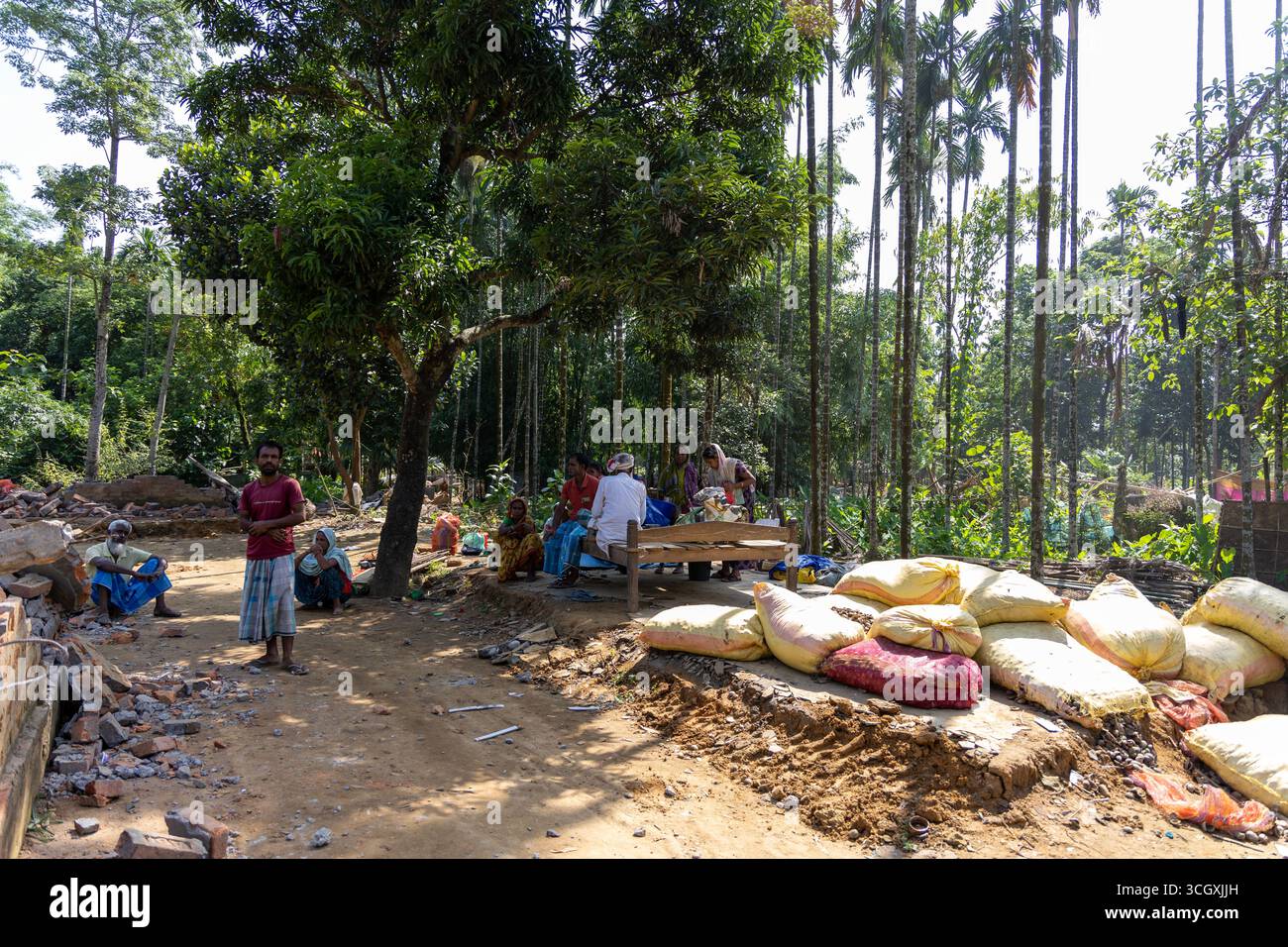 Eviction in Paikan reserve forest area in Goalpara Stock Photo