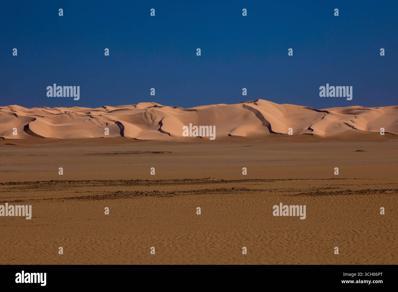 Vast golden sand dunes in the Algerian Sahara desert under deep blue ...