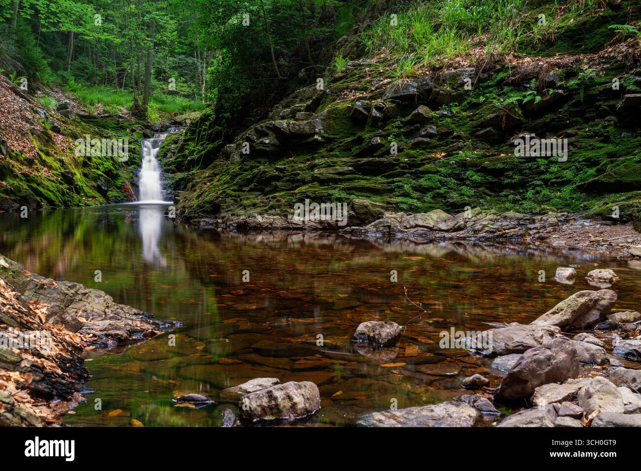 a landscape view of an idyllic waterfall in the Hoegne Valley in ...