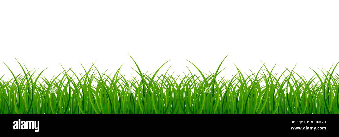 Green Grass Isolated. Vector Illustration on white background Stock Vector