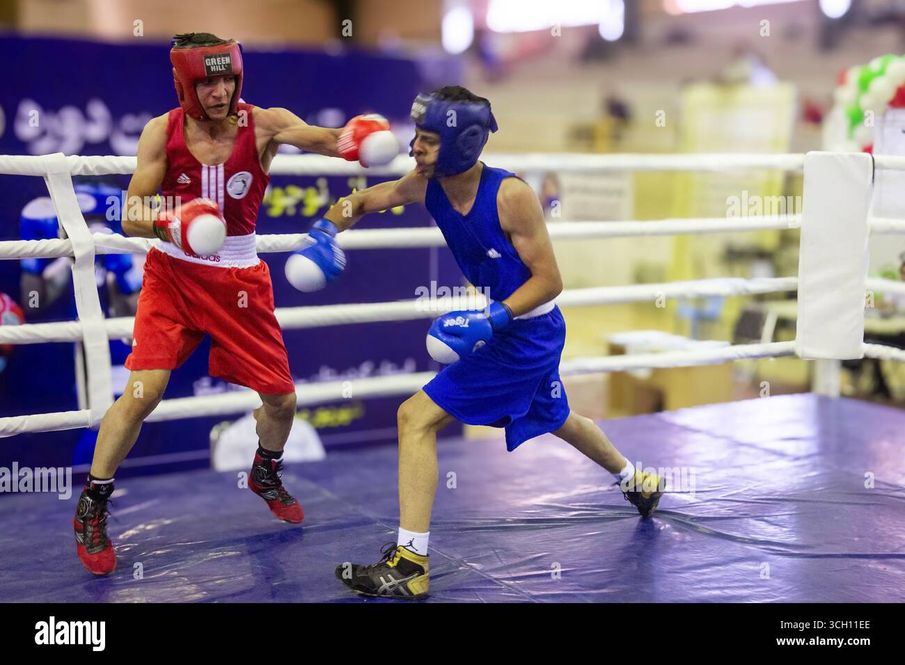 Iran Boxer Kurdistan, Kurdistan, Iran. 28th Aug, 2025. The 27th Iran National ...
