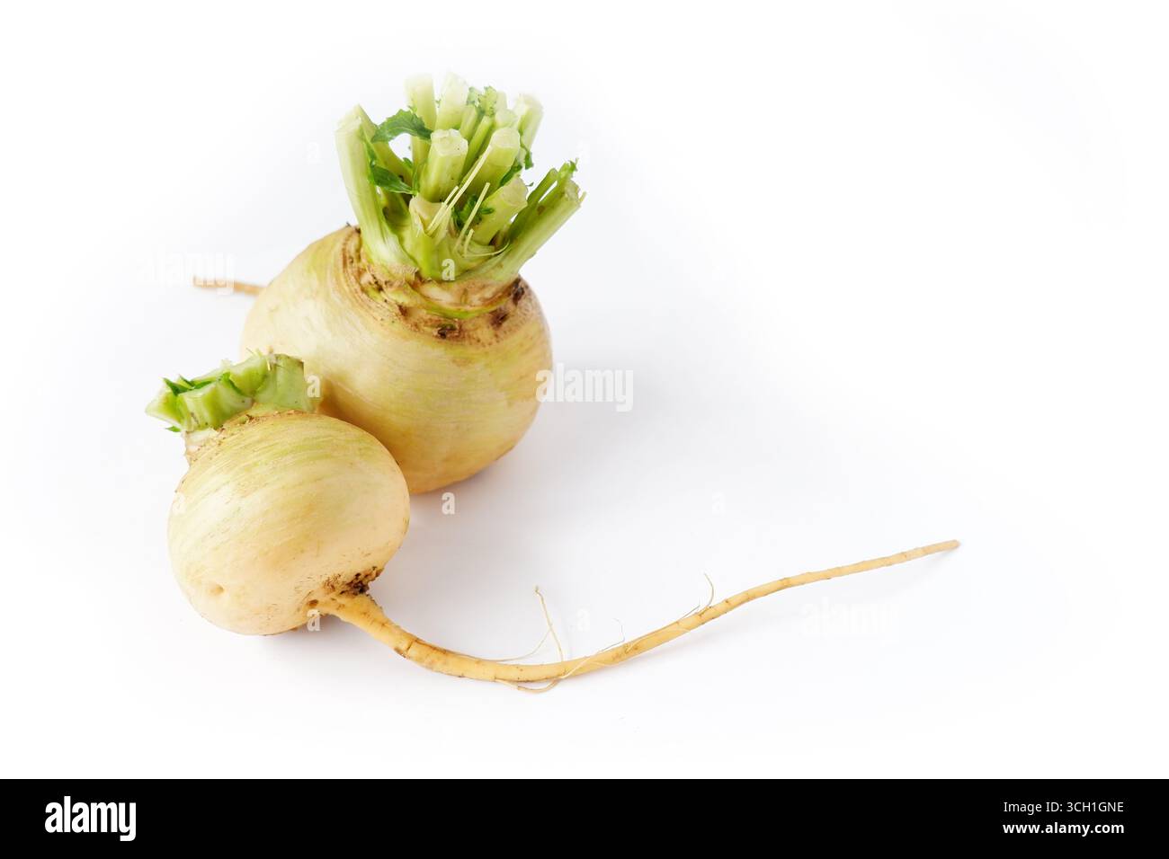 Off the farm Cut Out Stock Images Pictures Alamy