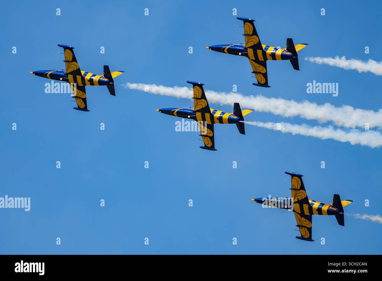 Baltic bees aero l 39 albatros hi-res stock photography and images - Alamy