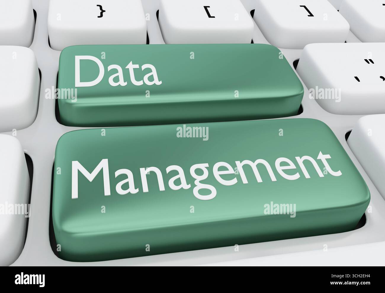 3D illustration of the script Data Management on two buttons. Stock Photo