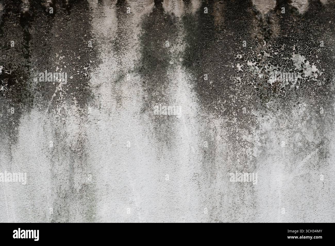 A concrete wall blackened by mold and algae Stock Photo