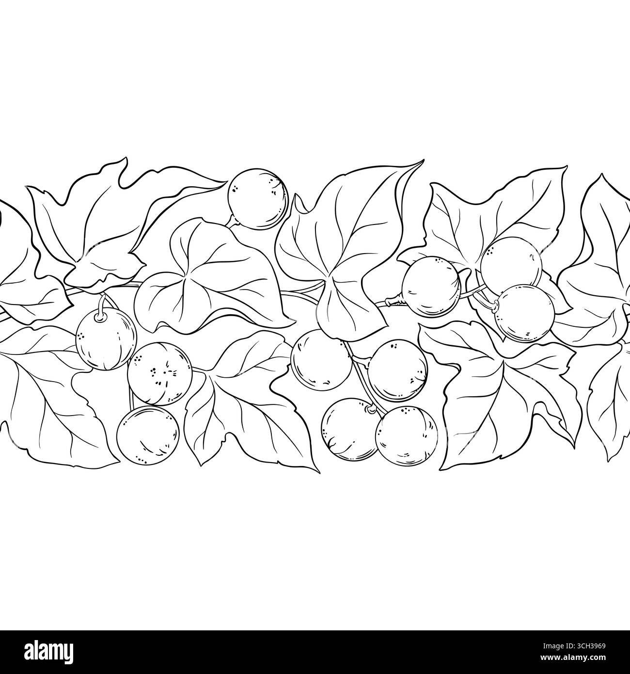 Kukui Outline Horizontal Seamless Pattern. Stock Vector