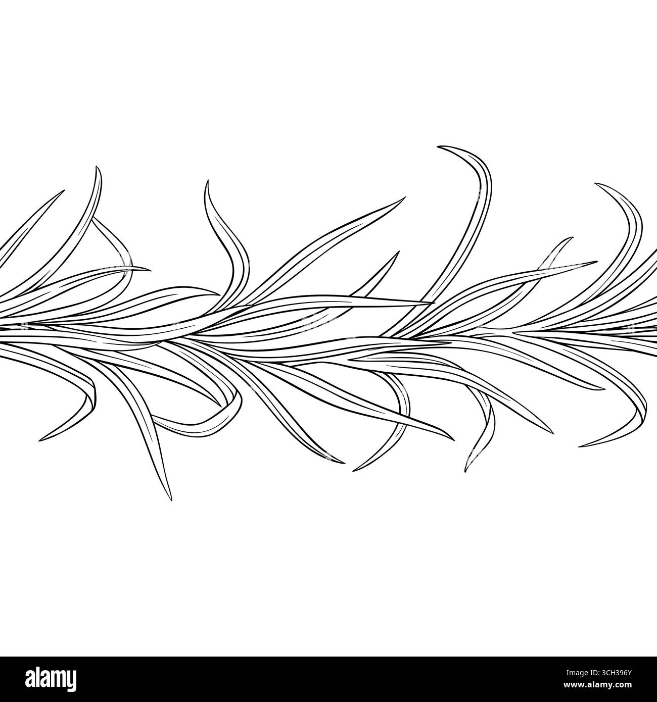 Lemongrass Outline Horizontal Seamless Pattern. Stock Vector
