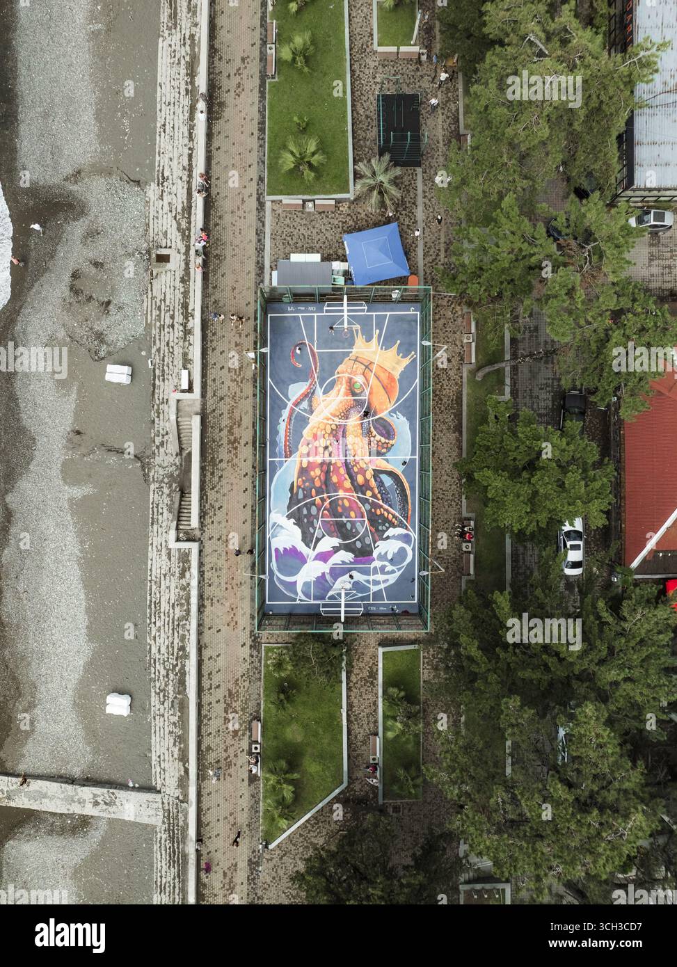 Spellbinding View Aerial view of a vibrant mural on a basketball court, nestled between ...