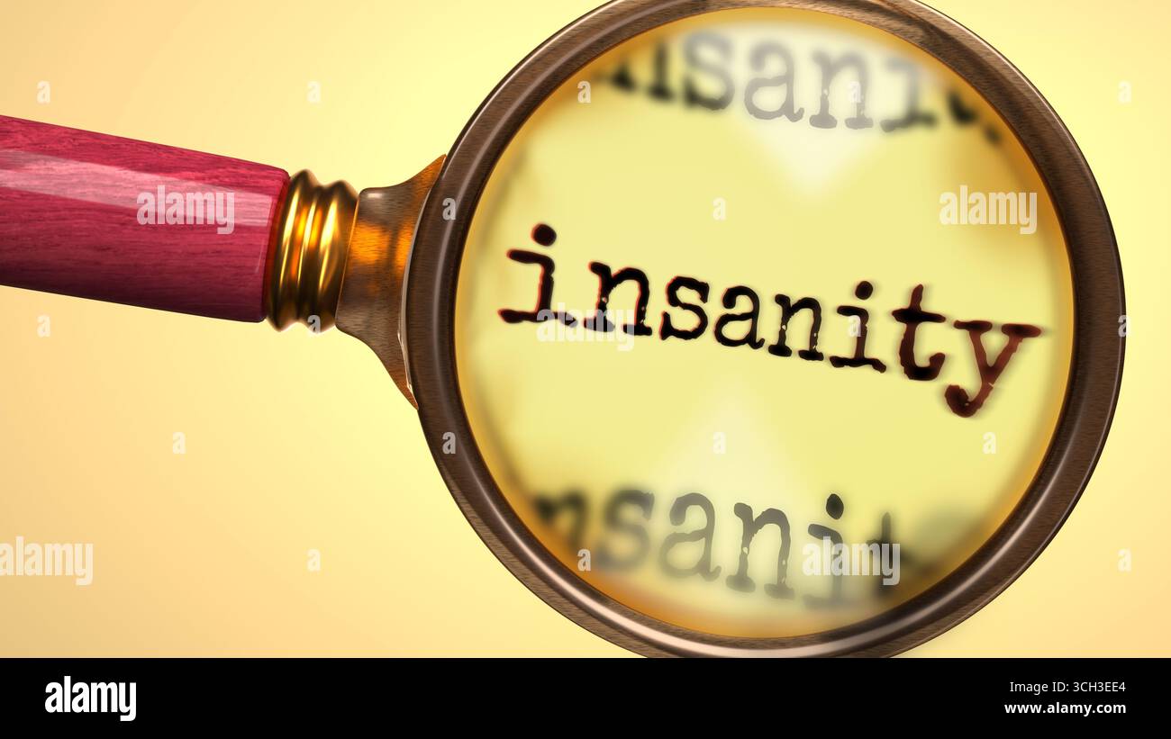 Insanity under magnifying glass. Thorough analysis and inspection of ...
