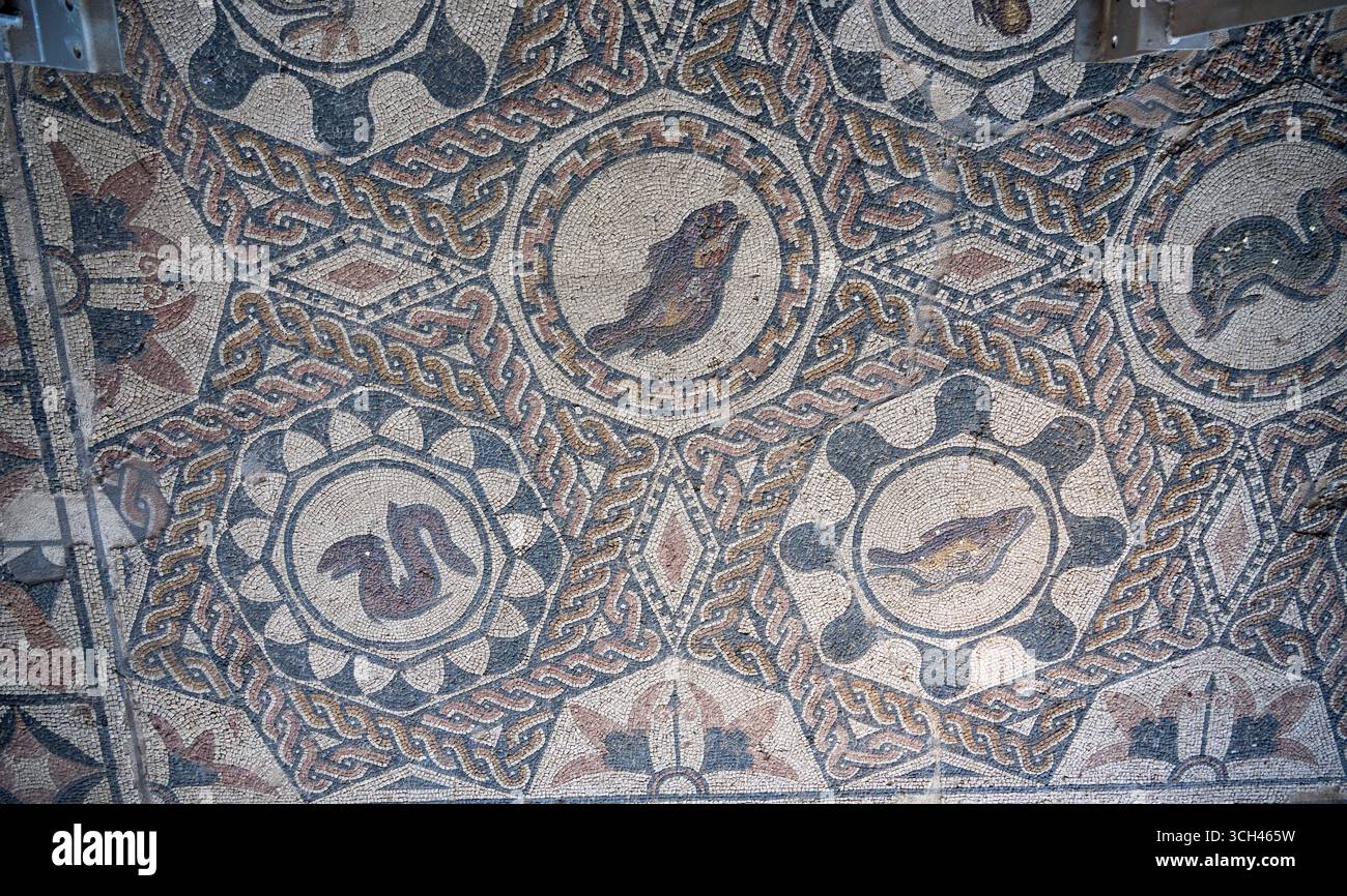 Ancient Roman mosaic with animal motifs and geometric patterns from ...