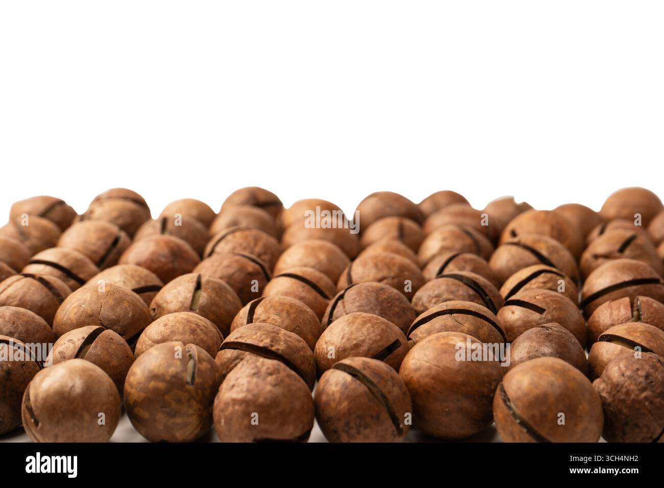 Macadamia nuts in a shell isolated on a white background. Top view. Stock Photo