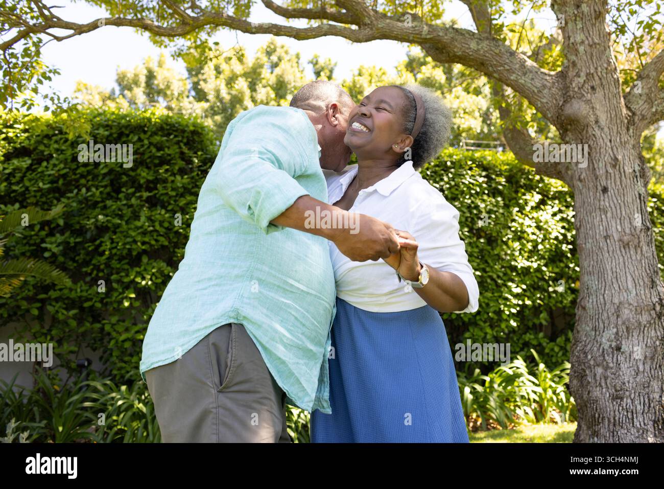 African American senior couple dancing joyfully under tree in sunny ...