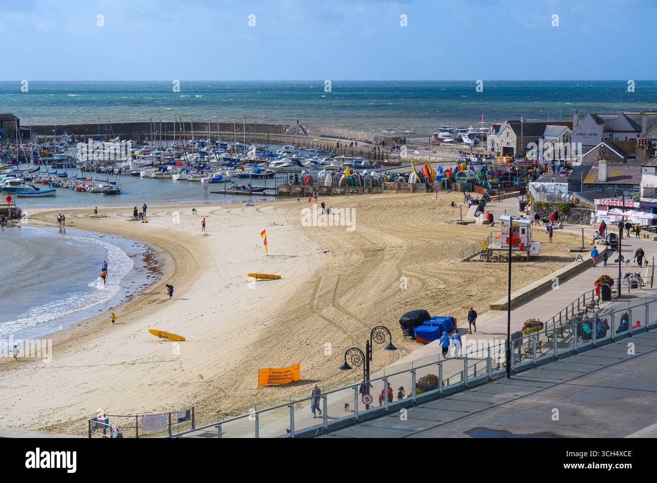 Lyme Regis, Dorset, UK. 31st Aug, 2025. UK Weather: Visitors and locals were out and about enjoying a day of blustery, sunny spells at the seaside resort of Lyme Regis at the end of the school holidays. The beach was much quieter than seen recently contrasting with the crowded scenes over the summer. Credit: Celia McMahon/Alamy Live News Stock Photo