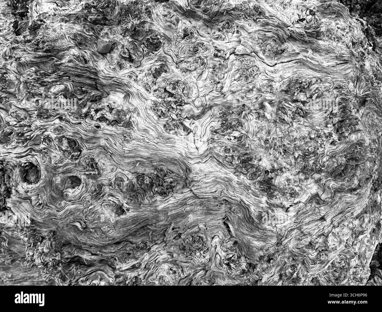 A closeup of weathered wood - Smartphone Captured Stock Image