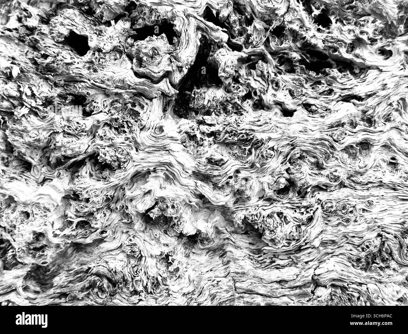 A closeup of weathered wood - Smartphone Captured Stock Image