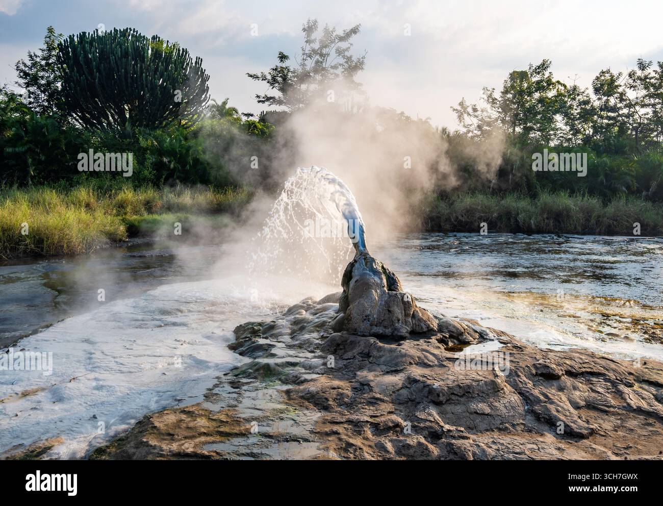 The famous Female Hot Spring spray boiling hot water at the Semuliki National Park. Uganda, Africa. Stock Photo