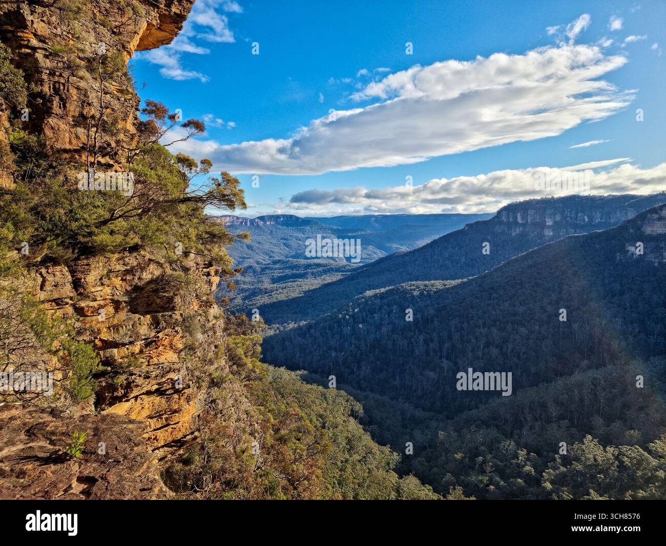A dramatic cliffside view in the Blue Mountains, New South Wales, Australia. The rugged sandstone formations rise above a vast valley covered in dense - Smartphone Captured Stock Image