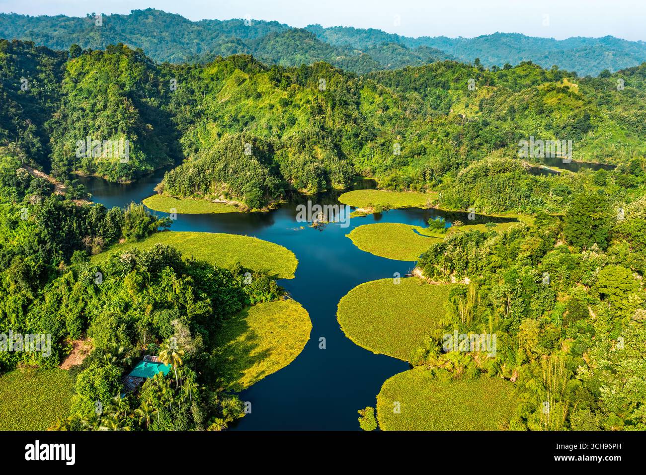 Jinsiy oyinchilar fotosurati