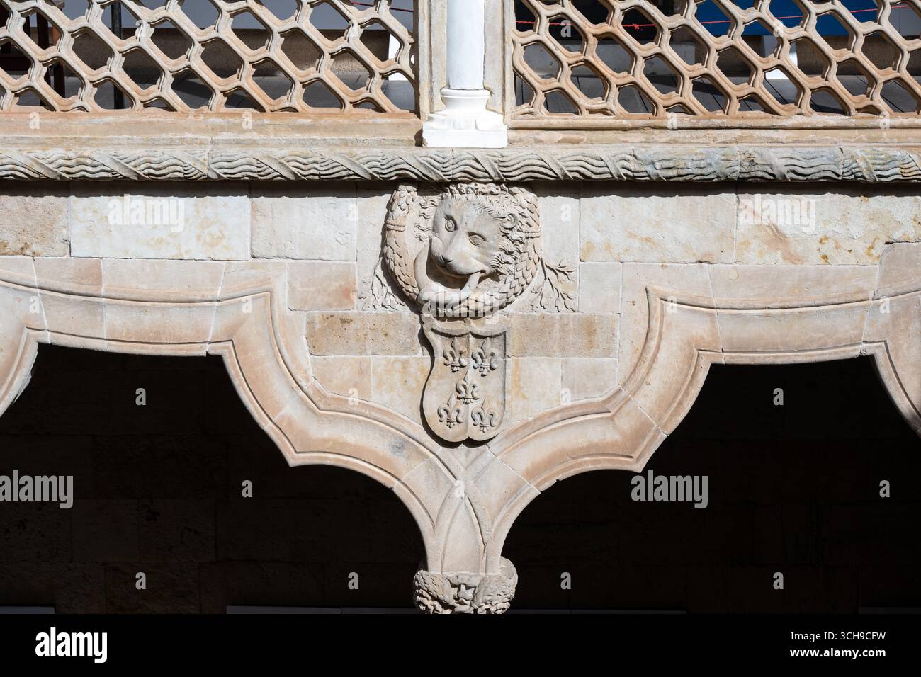 Picture of Stone architectural detail with a lion face carving on a historic ...