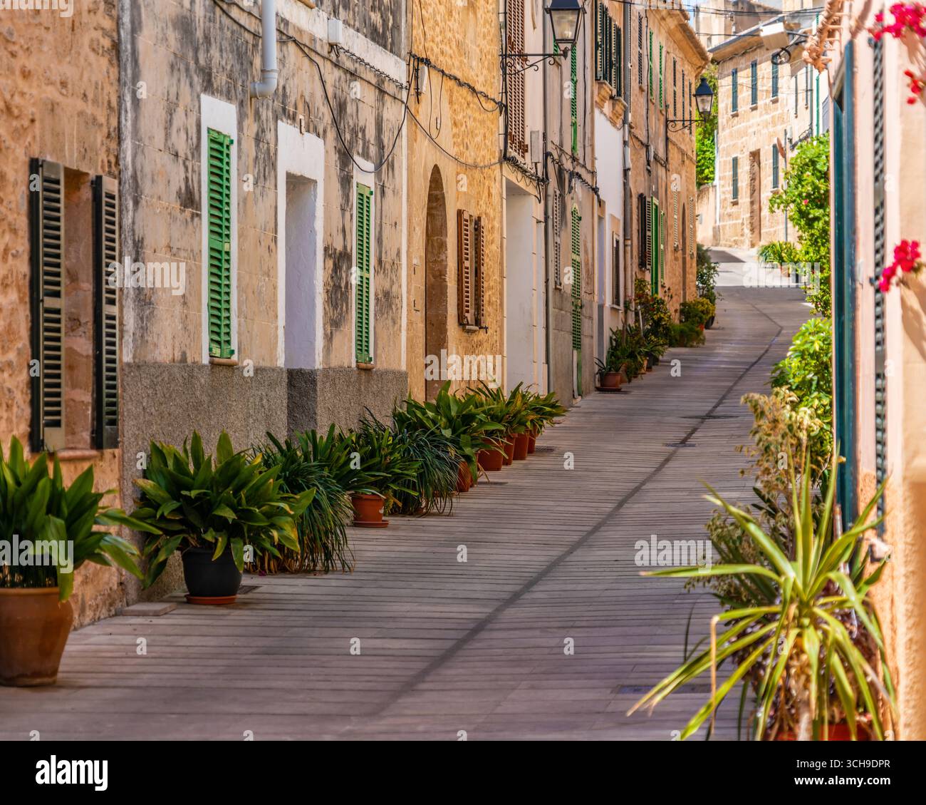 lots of flower pots decorate a narrow alley in the old town of little village alcudia on the spanisch island mallorca with bright daylight Stock Photo