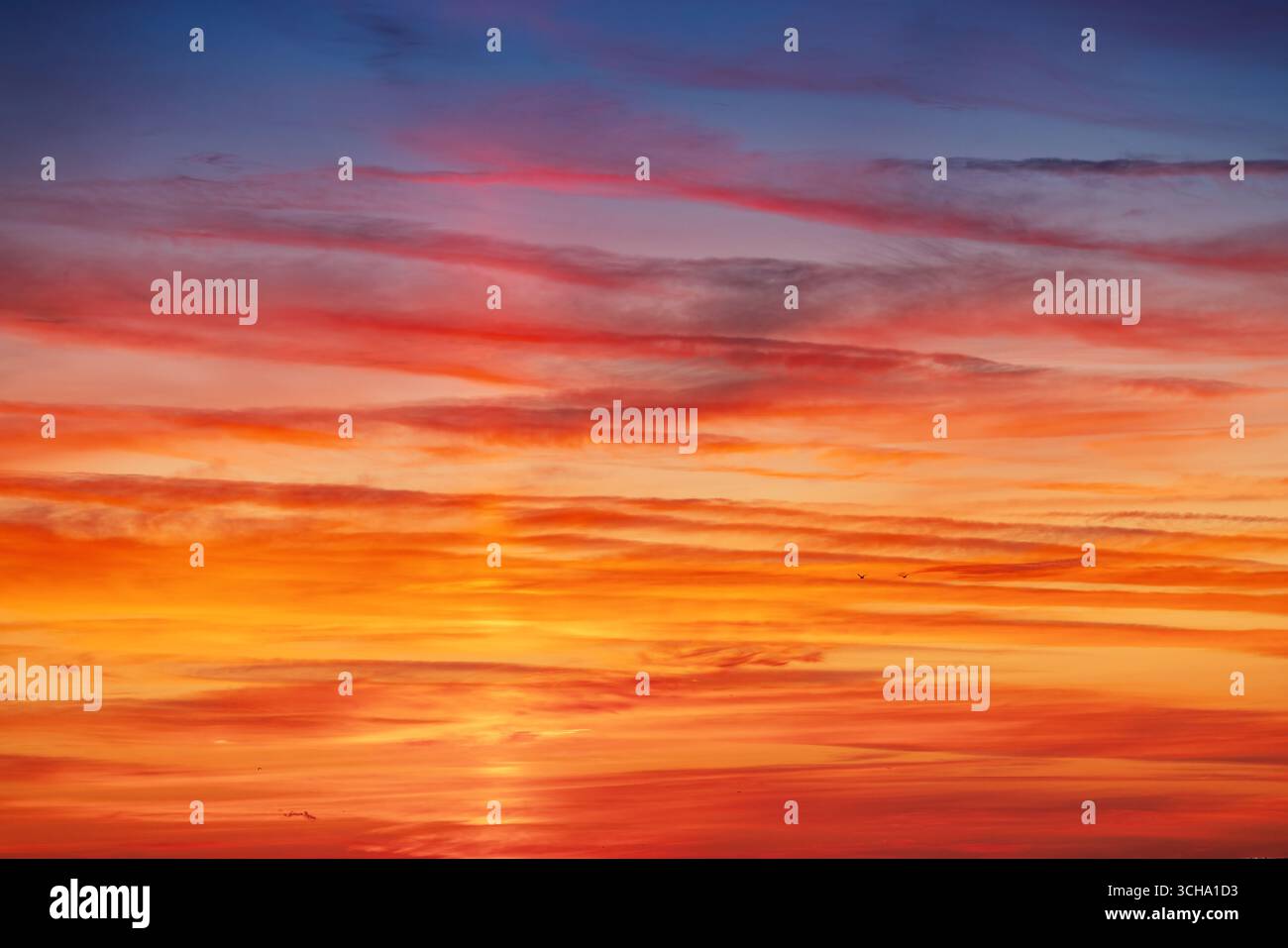 Vibrant sunrise hi-res stock photography and images - Alamy