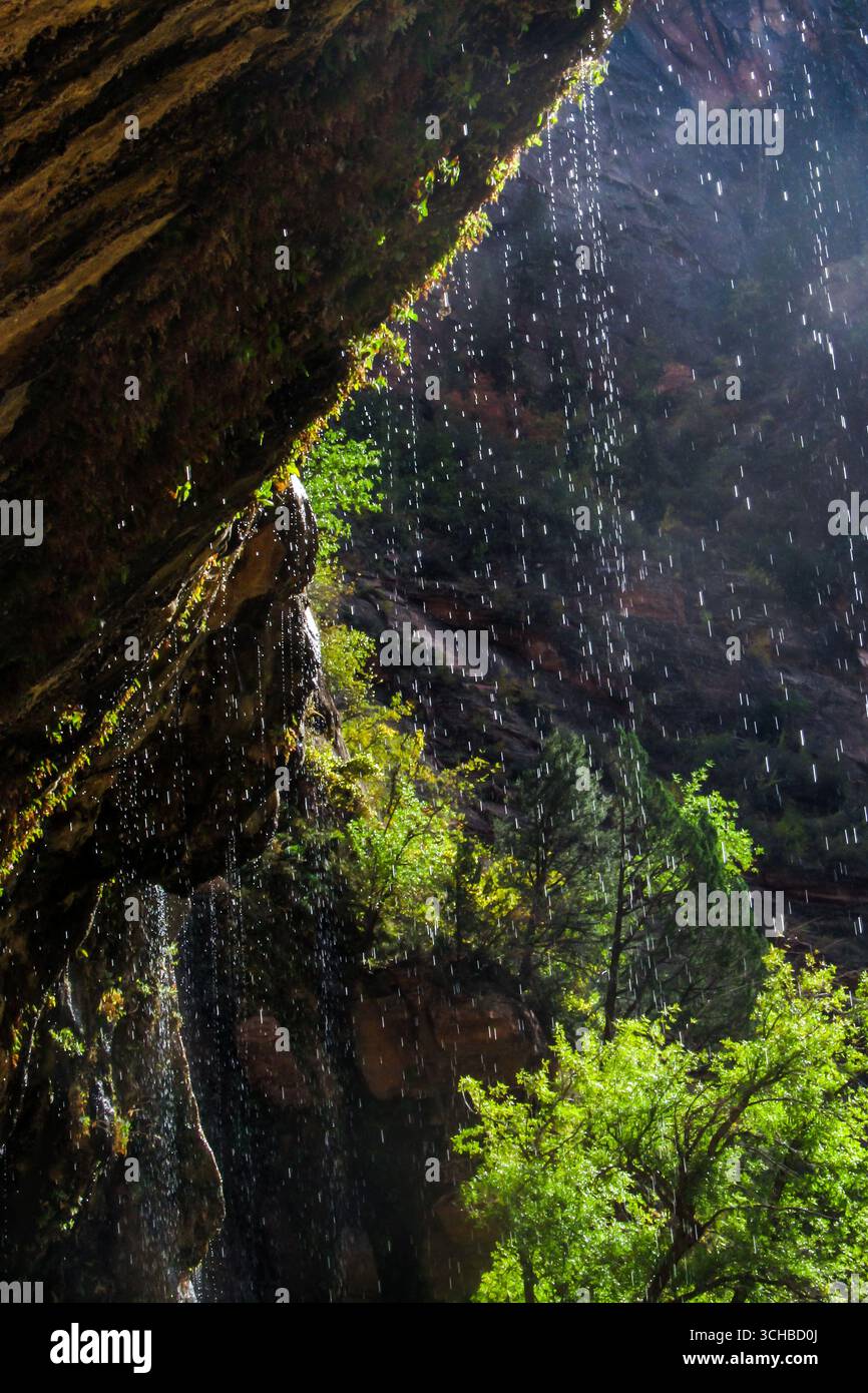 Water dripping from a overhang forming a small waterfall, at Weeping ...