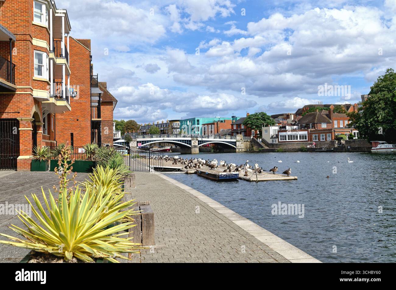 The riverside at Windsor and Eton on a sunny summers day Berkshire England UK great Britain Stock Photo