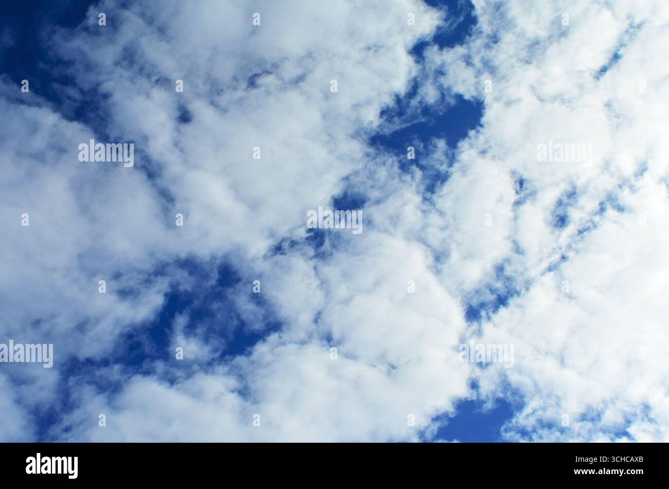 A serene blue sky with fluffy white clouds drifting by Stock Photo